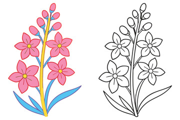 Beautiful Pink Flowers and Coloring Page Illustration of a Floral Bouquet with Buds