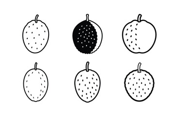 Soursop – Annona muricata line art vector illustration