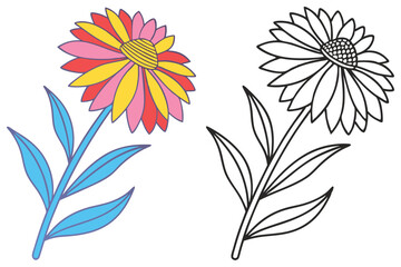 Colorful Flower and Line Art Drawing of a Blooming Daisy