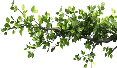 Vector trees foliage branch cut-out transparent illustrations png, woodland nature leaves, forest design, eco-friendly artwork, tree branches, green foliage, plant silhouettes © aura studio
