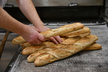 Pain chaud sorti du four