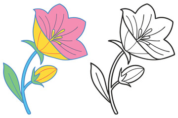 Colorful Flower and its Outline Drawing for Coloring Pages a Lovely Floral Illustration with a Bud