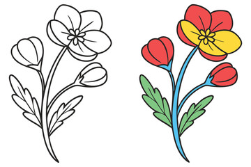 A charming illustration of a flower in two versions one black and white and one colored a coloring page for kids
