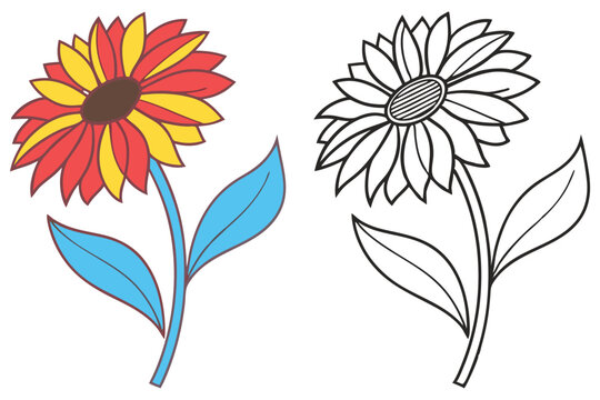 Colorful Sunflower and its Outline Drawing for Coloring Pages a Bright Red Yellow Flower with Blue Leaves Botanical Illustration