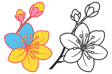Beautiful Colorful and Outlined Apricot Blossom Flower Illustration for Coloring Book Pages