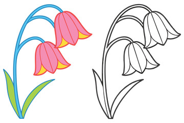 Charming illustration of three pink bell flowers with a coloring page version