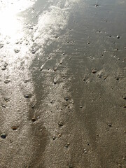 Sable humide sous le soleil et ombre des coquillages