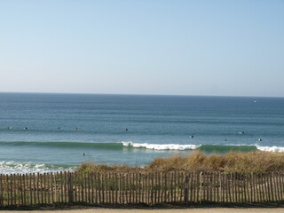 Fototapeta premium Vagues et surfeurs avec barrière en bord de mer