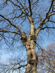 Edinburgh, Scotland, United Kingdom