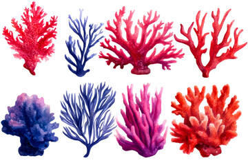 Naklejka premium Colorful corals collection, set of watercolor corals, cut out transparent