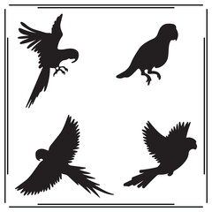 Parrot silhouette, Parrot illustration ,Parrot clipart, Parrot vector , Parrot icon , black Parrot ,Parrot illustration on white background,