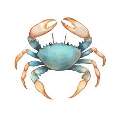 A detailed watercolor glitter illustration of a crab with a blue body and orange claws, set against a white background.