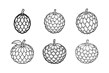 Sugar Apple – Annona squamosa line art vector illustration