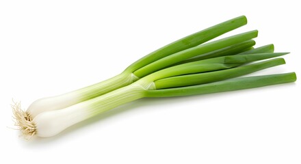 Fototapeta premium Green Onions: The Flavorful Addition to Your Culinary Creations