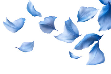 Naklejka premium Delicate Blue Petals Floating Elegantly on a Black Background