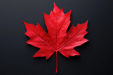 Maple Leaf - A lobed leaf known for its brilliant fall colors, a distinct palmate shape with pointed lobes and turns red, orange, or yellow in autumn