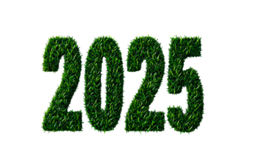 Grass texture 2025 number, green year design, cut out transparent