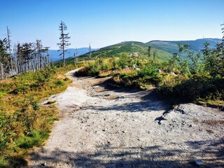 Dirt trail winds through a mountainous area near Wisła, Beskidy, Poland, with lush greenery and distant hills under a blue sky