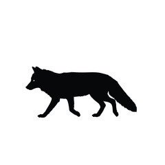 wolf vector illustration