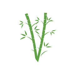 Fototapeta premium two bamboo stalks.