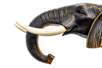 Carved ebony elephant head with ivory tusks, cut out transparent