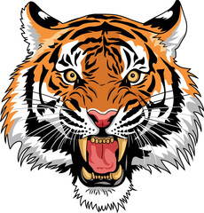 tiger head png