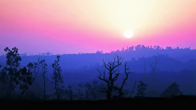 Sunrise Casting Soft Glow on Serene Landscape with Tree Silhouettes in Pastel Hues