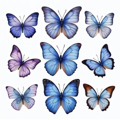 Watercolor painting of butterflies collection. Collection of elegant, graceful, delicate, beautiful insects in soft blue, purple hues. Artistic design for spring decoration, invitation cards seamless