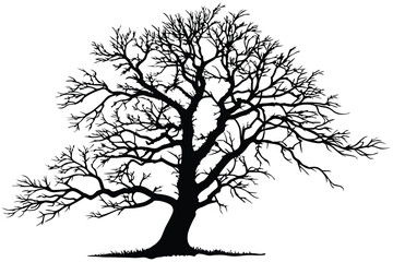 Obraz premium 2 Stark bare tree silhouette, intricate branching pattern, black and white illustration, graphic design style, minimalist artwork, winter landscape element, high contrast, isolated on white background