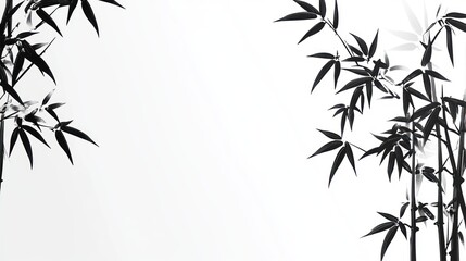 Fototapeta premium Abstract monochrome bamboo branches on white background. Possible use Print design, website background