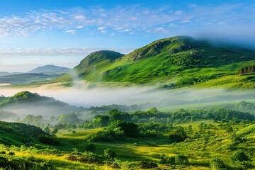 Lush Green Fields With Misty Horizon And Patterns