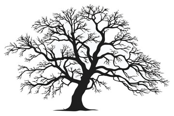 2 Stark bare tree silhouette, intricate branching pattern, black and white illustration, graphic design style, minimalist artwork, winter landscape element, high contrast, isolated on white background