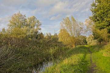Landscape with creek with willow trees reflecting in the water and hiking trail on a sunny winter day in Oude Kalevallei nature reserve in Vinderhoute, Flanders, Belgium 