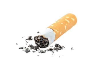 Single cigarette butt isolated on transparent or white background, png