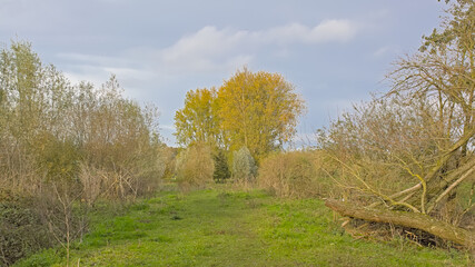  Autumn allandscape with field with trees and shrubs on a sunny autumn day in Oude Kalevallei nature reserve, Vinderhoute, Flanders, Belgium

