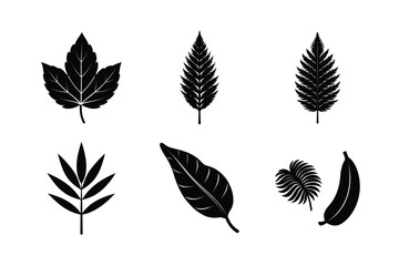 Fototapeta premium various types of leaves silhouette vector illustrations