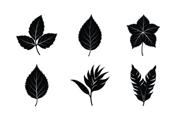 various types of leaves silhouette vector illustrations