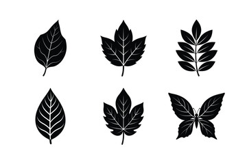 various types of leaves silhouette vector illustrations