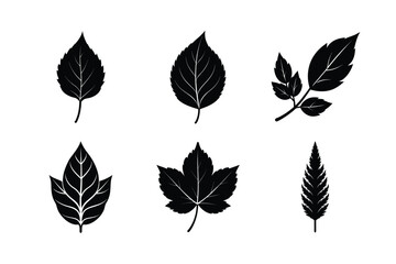 Obraz premium various types of leaves silhouette vector illustrations