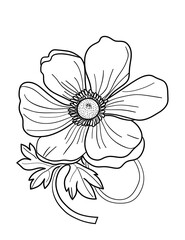 Elegant Anemone Flower Coloring Page &ndash; Printable Floral Design