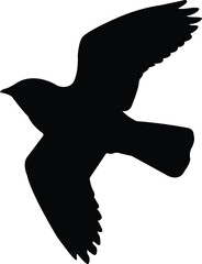 Bird clip art design on plain white transparent isolated background for card, shirt, hoodie, sweatshirt, apparel, card, tag, mug, icon, poster or badge