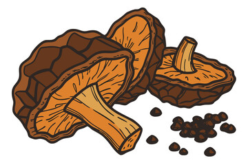 12 Dried mushroom slices, chaga mushroom, medicinal fungi, dark brown and orange hues, rough textured surface, organic shapes, natural health supplement, earthy tones, detailed close-up, white backgro