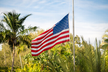 American flag flying at half-mast among palm trees in a serene landscape during a bright sunny day