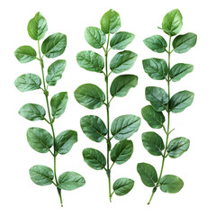 Naklejka premium Vibrant Green Leaves Botanical Illustration on Soft Green Background