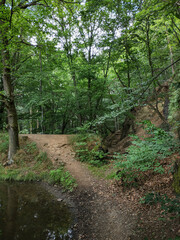 Fototapeta premium Hiking trail entering lush green forest near castle mnisek pod brdy