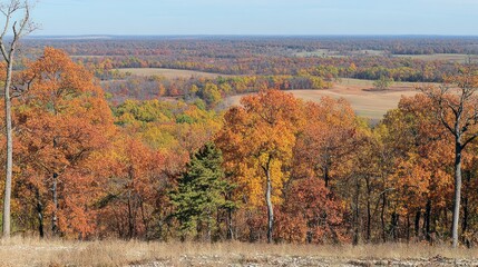 Fototapeta premium Autumnal hilltop panorama vibrant foliage, farmland vista, scenic overlook, fall landscape