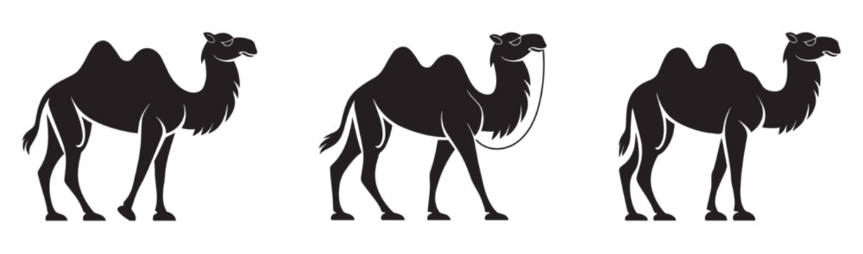 Silhouette Camel Icons - Single and Double Hump Dromedary & Bactrian Camels