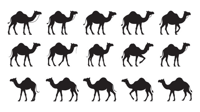 Silhouette Camel Icons - Single and Double Hump Dromedary & Bactrian Camels