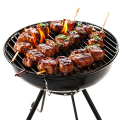 grilled meat on the grill