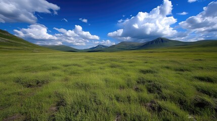 Expansive grassy highland valley under a vibrant blue sky.  Rolling hills and mountains in the distance
